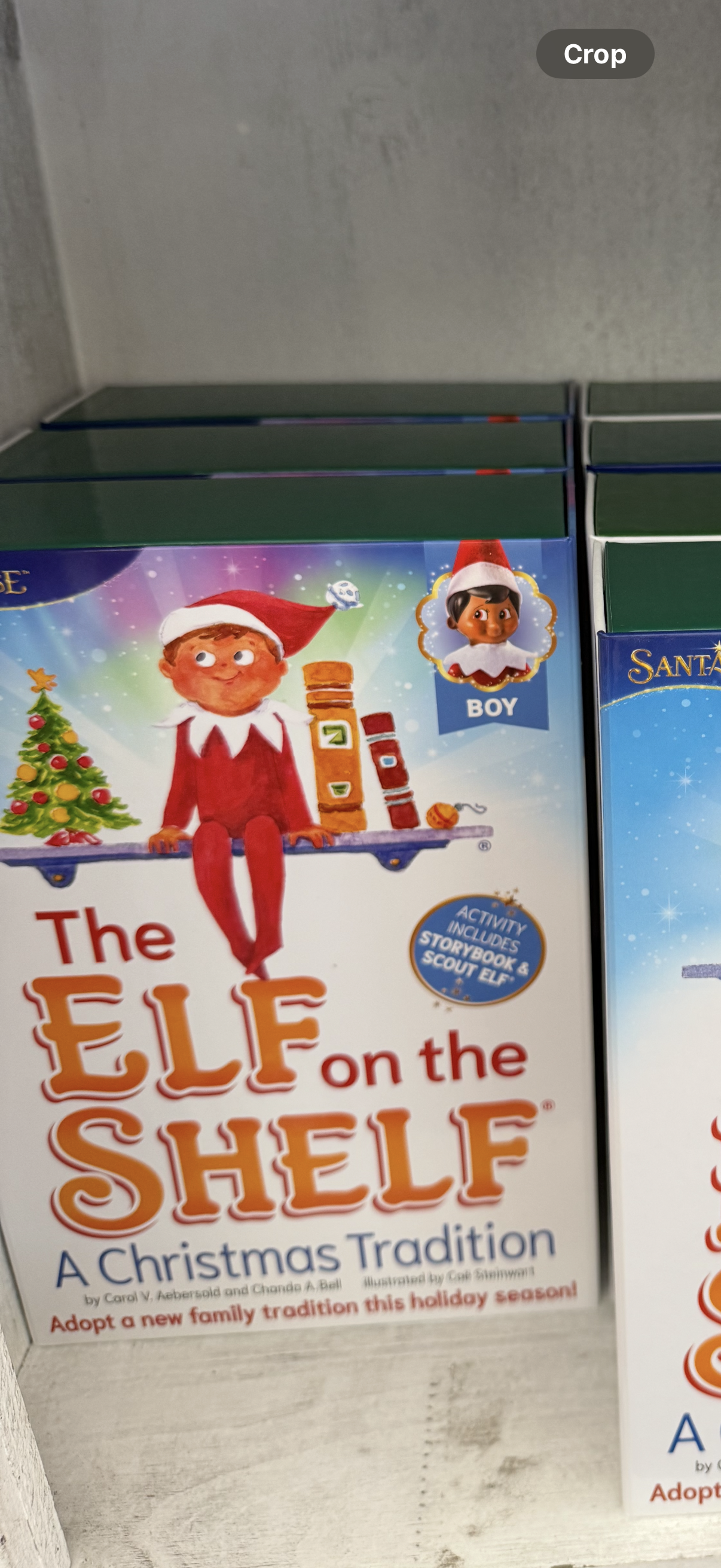 Elf On the Shelf Boy 1
