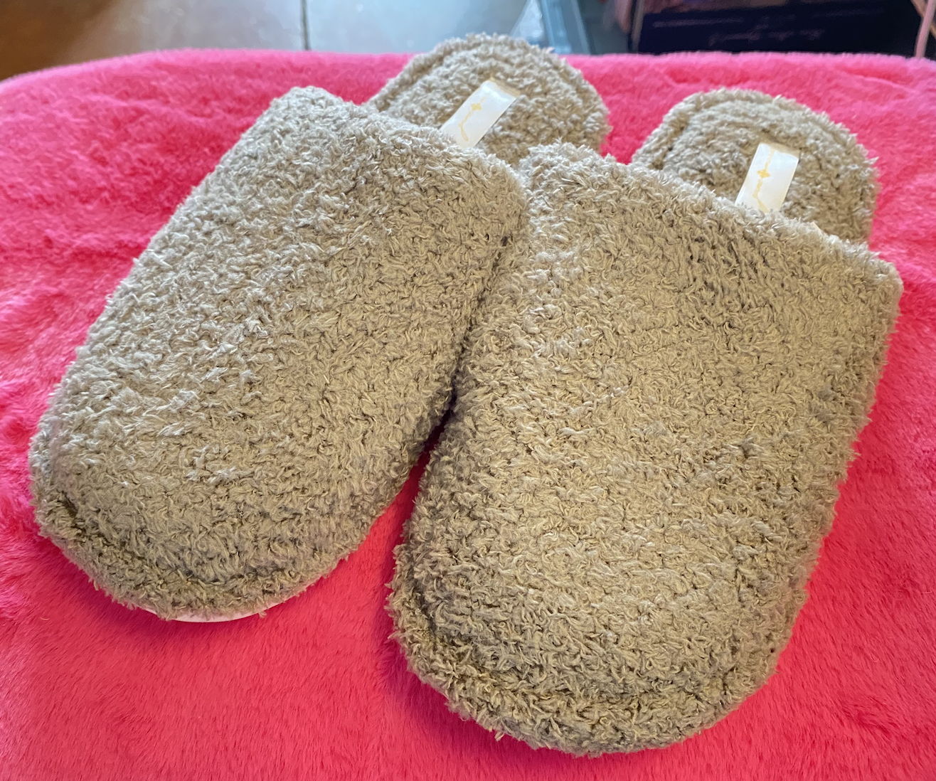 Fuzzy Closed Toe Slipper