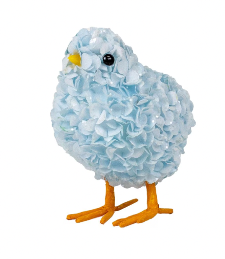Hydrangea Chick