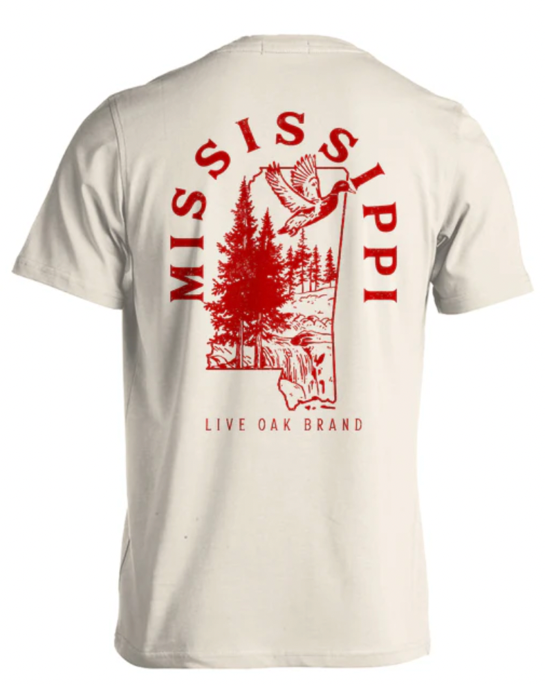 STATE OUTLINE, MISSISSIPPI