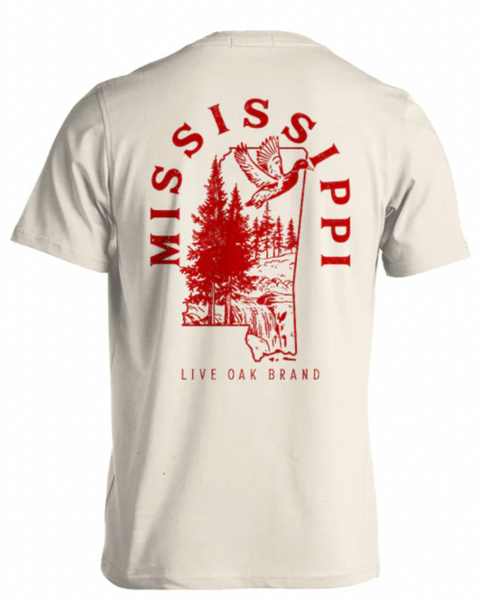 STATE OUTLINE, MISSISSIPPI