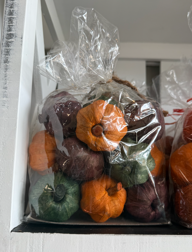 Dried Exotics Pumpkins-Green