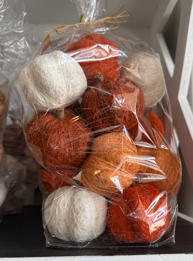 Dried Exotics Pumpkins-Orange/White