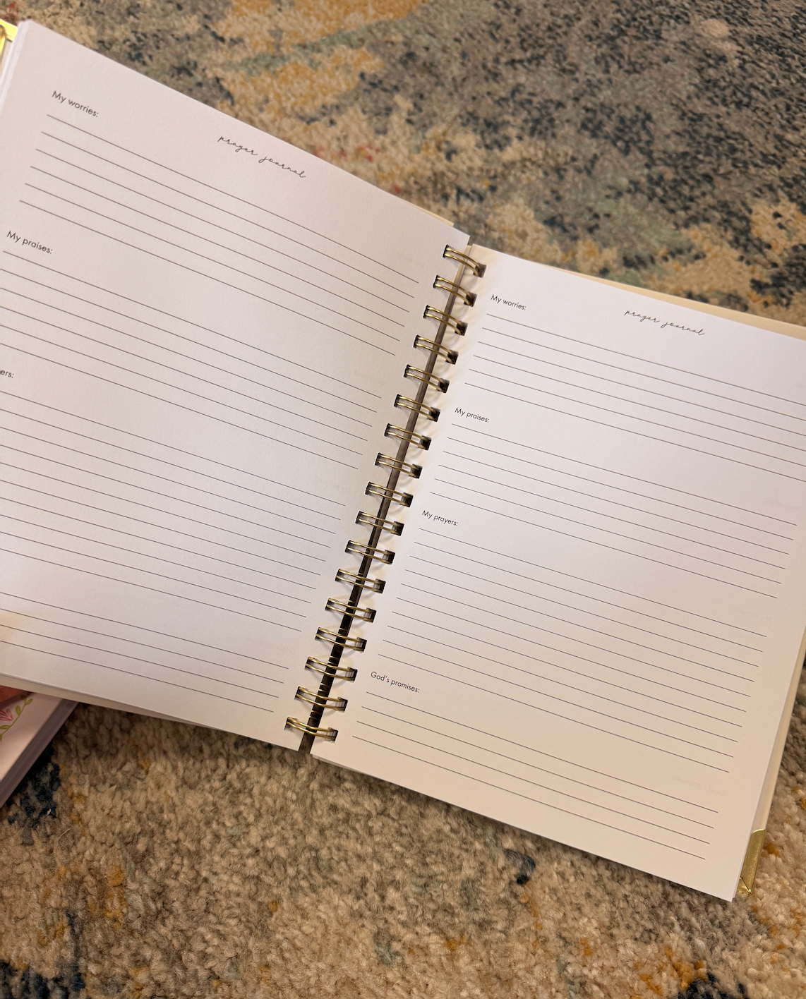Prayer Journal I Will Pray