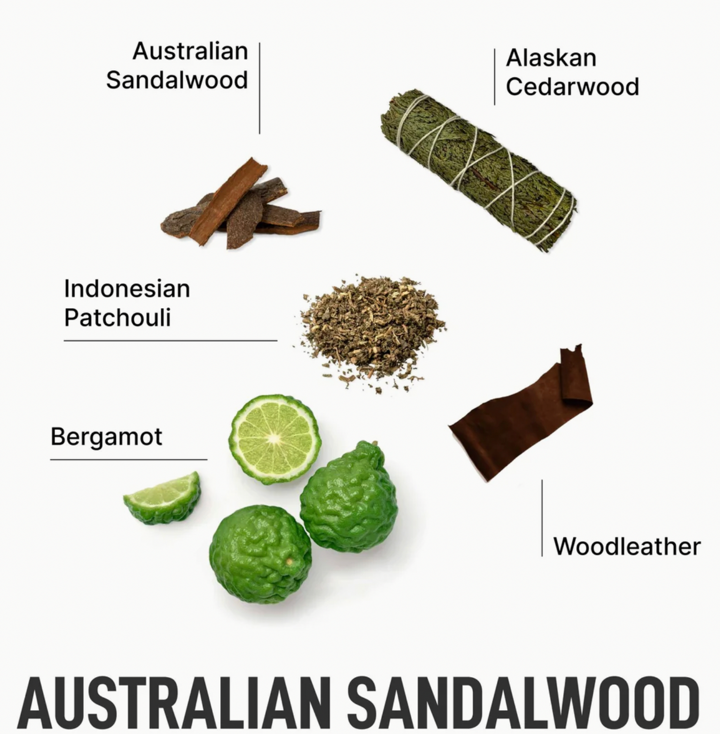 In Wash Scent Booster - Australian Sandalwood