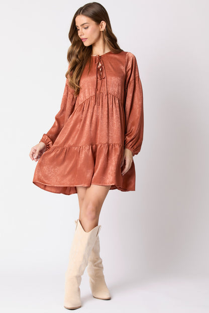 Long Sleeve Mini Dress With Side Pockets