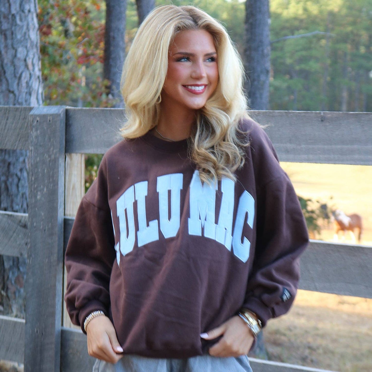 Brown/Light Blue Sweatshirt