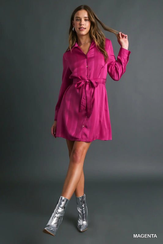 Tie and Collar Satin Dress