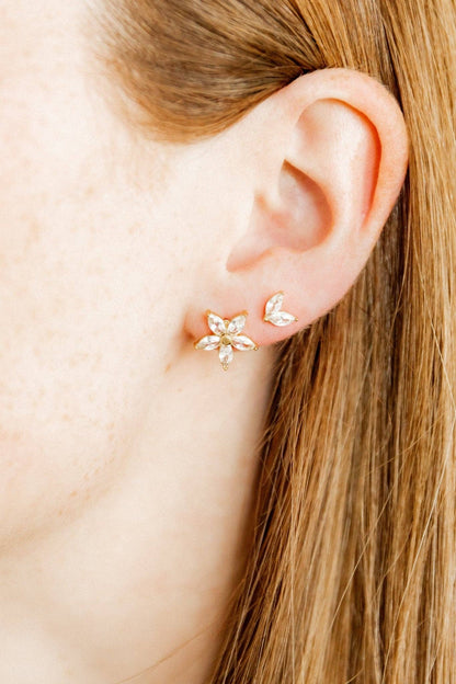 Screwback Stud Earrings - Nova Gold