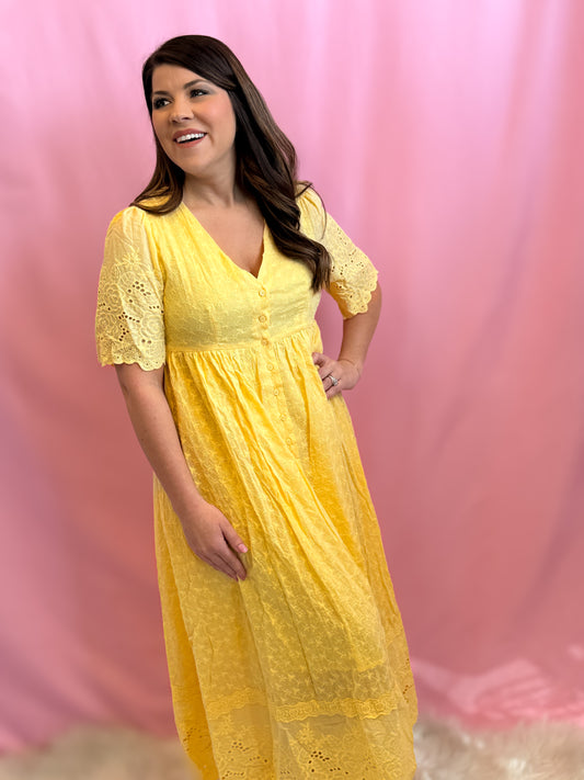 COTTON EYELET BUTTON DOWN DRESS