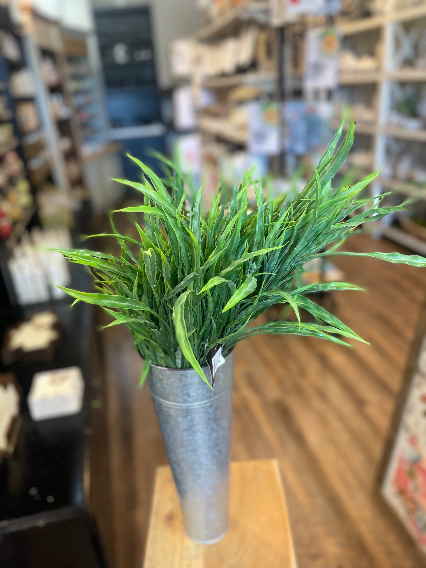 PDCH073 12 STEM SEAGRASS BUSH