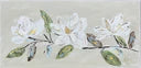 3 magnolias Lumbar Pillow