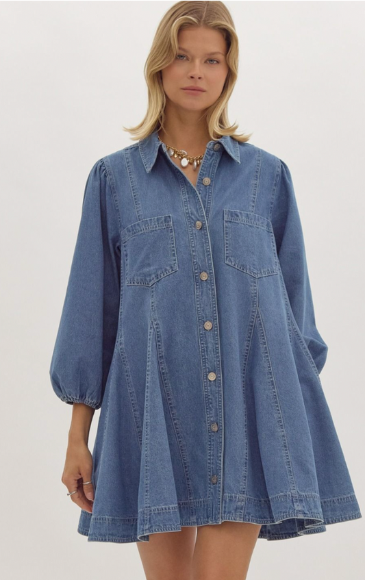 Collared Denim Mini Dress