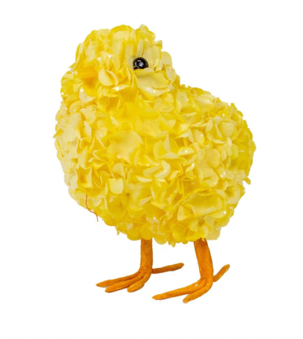 Hydrangea Chick