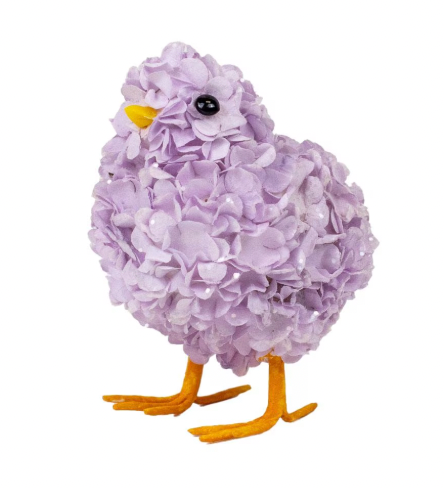 Hydrangea Chick