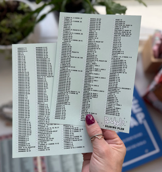 365-Day Bible Reading Plan Checklist