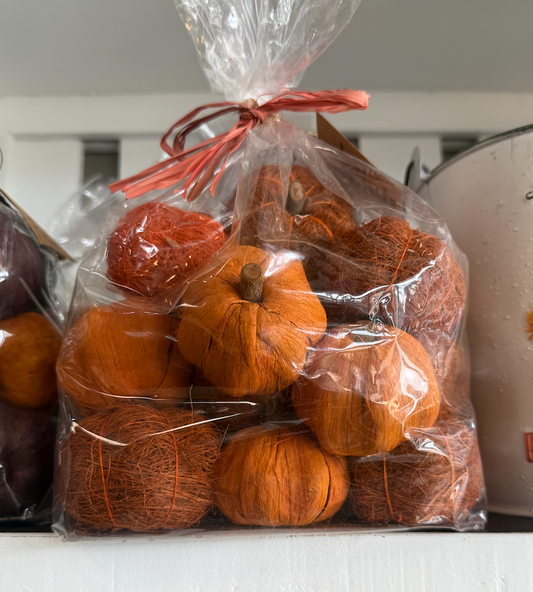Dried Exotics Pumpkins-Orange
