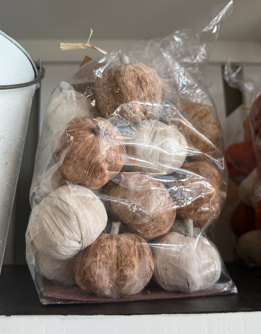 Dried Exotics Pumpkins-Neutral