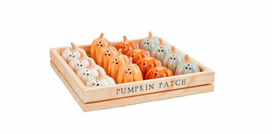 Pumpkin Salt & Pepper Shakers