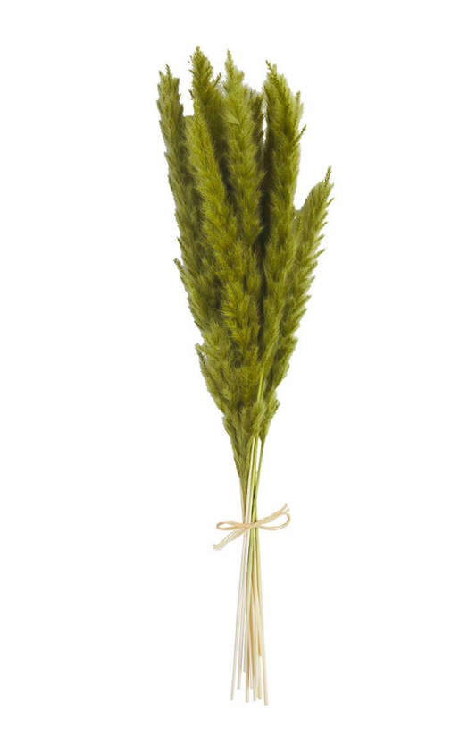 Green Fall Pampas Bundle