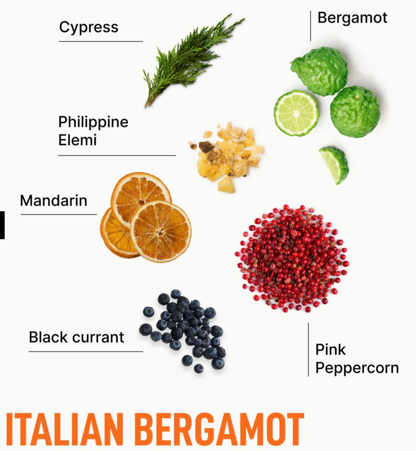 Luxury Scented Dryer Sheets-Italian Bergamont