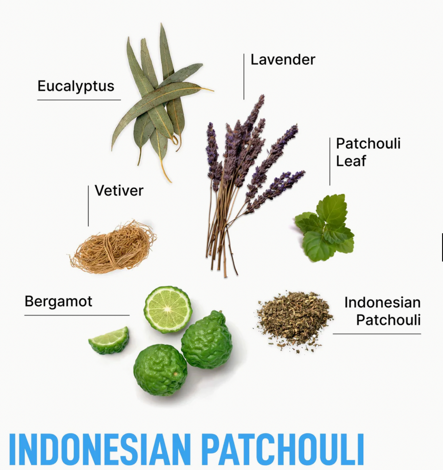 Laundry Detergent Pods- Indonesian Patchouli