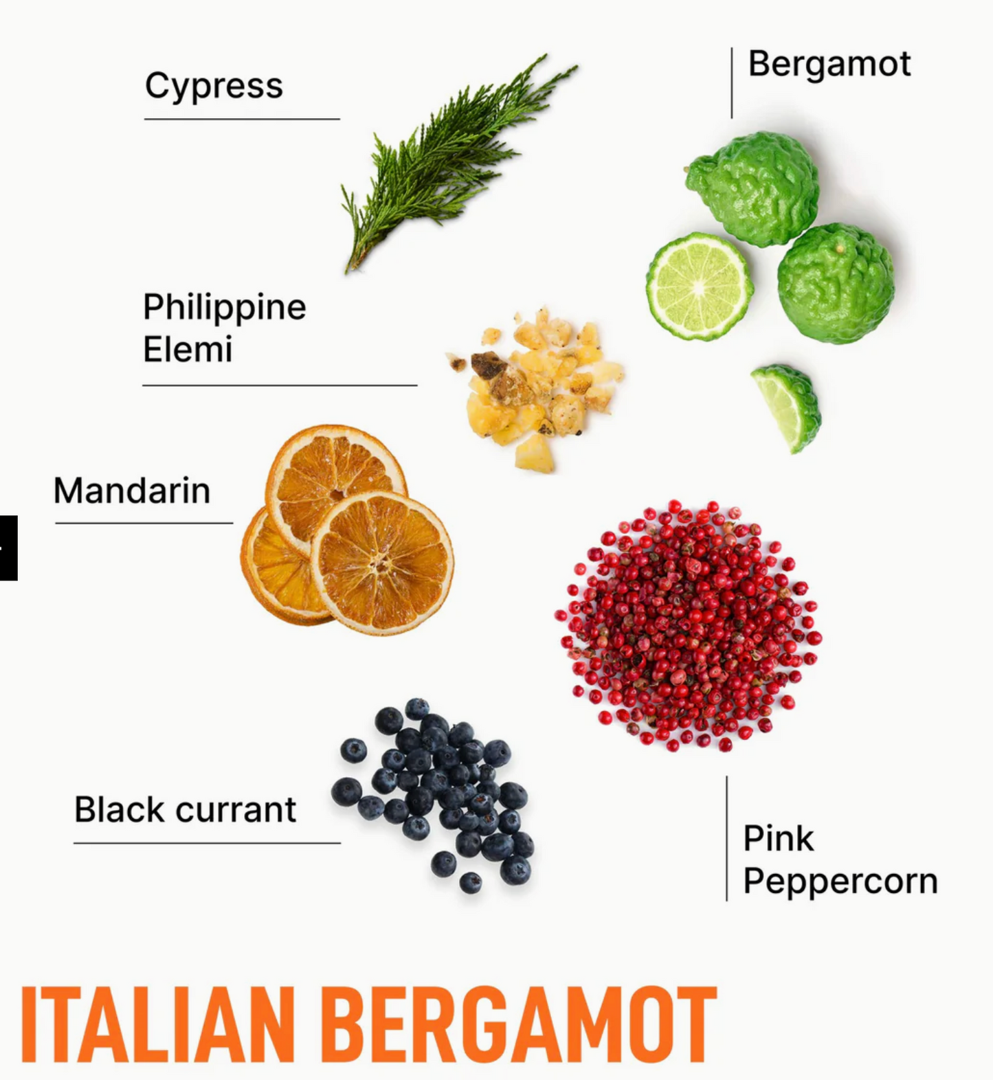 In Wash Scent Booster -Italian Bergamont