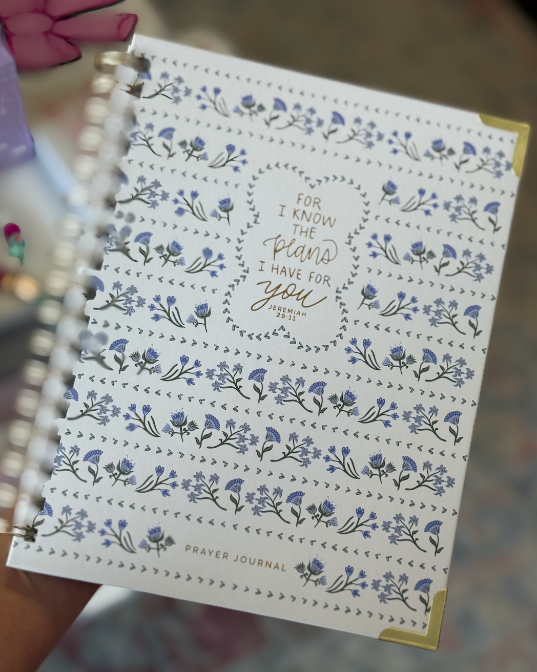 Journal Prayer For I Know the Plans