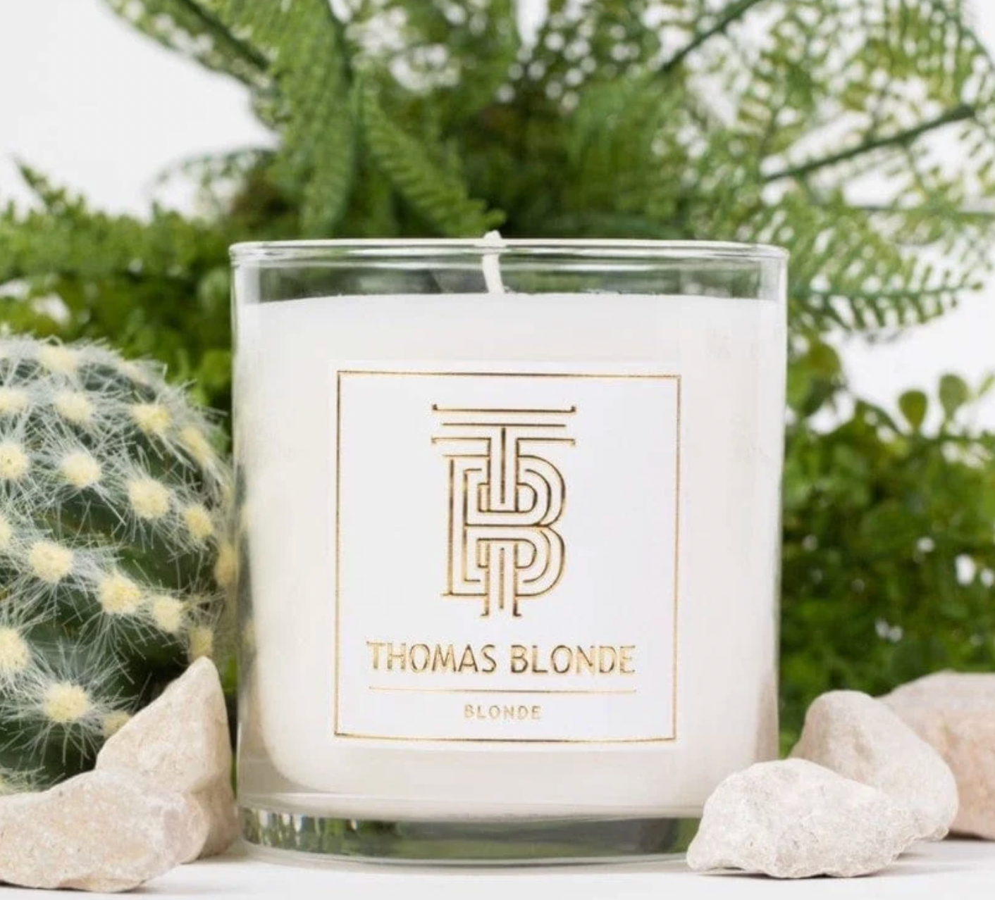 Joshua Tree Candle