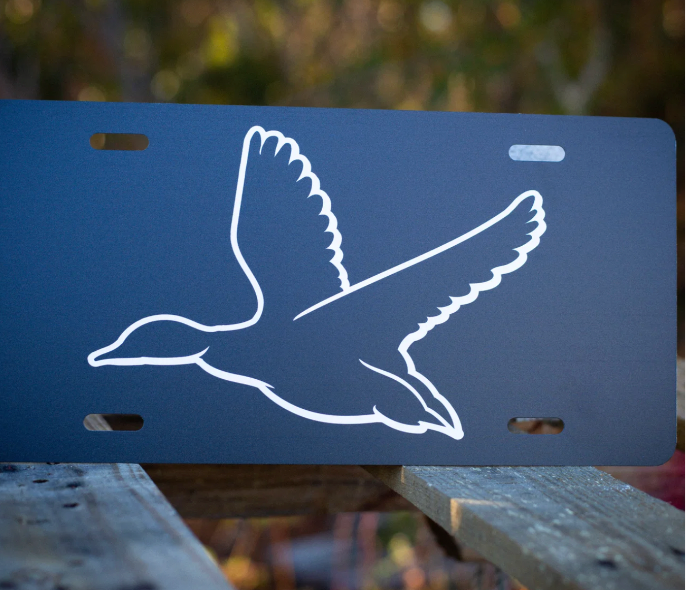 Black Mallard - tag