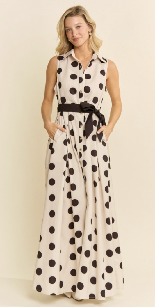 Polka Dot Button Down Dress