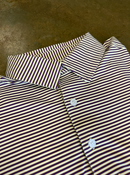 Micro Stripe Polo-Purple, Gold, White