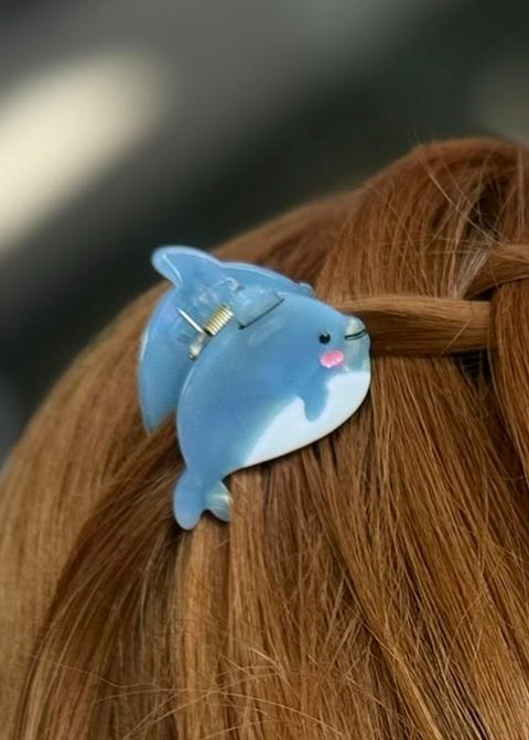 Mini Ocean Claw Clips
